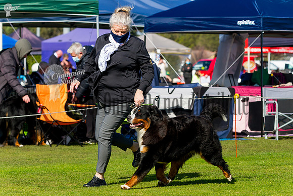 _MG_0673