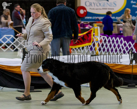 _MG_2044