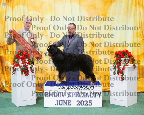 Opposite Junior In Show - Azzabern Easy To Love