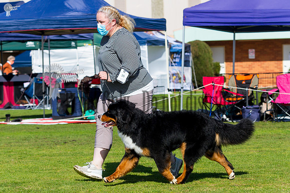 _MG_0438