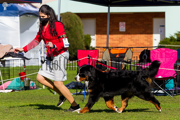 _MG_0606