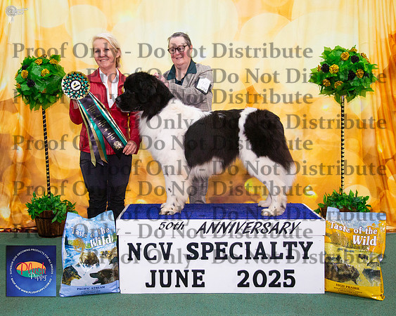 Intermediate In Show - Seadale Something Kinda Magic