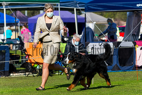 _MG_0905