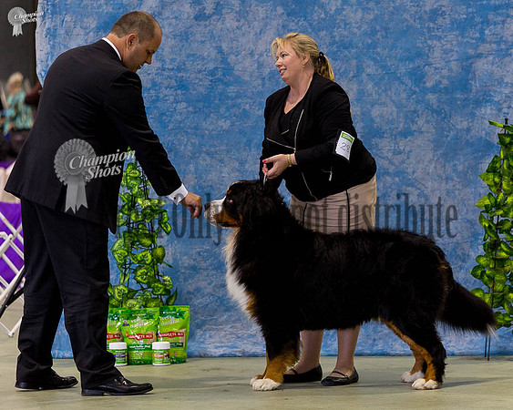 0T6A6612