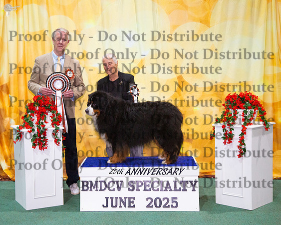 Runner Up Neuter In Show - Neut Ch Montreaux Colors Of The Wind