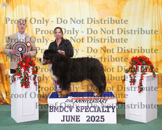 Best Exhibit In Show - Veteran In Show - Ch Montreaux De Niro